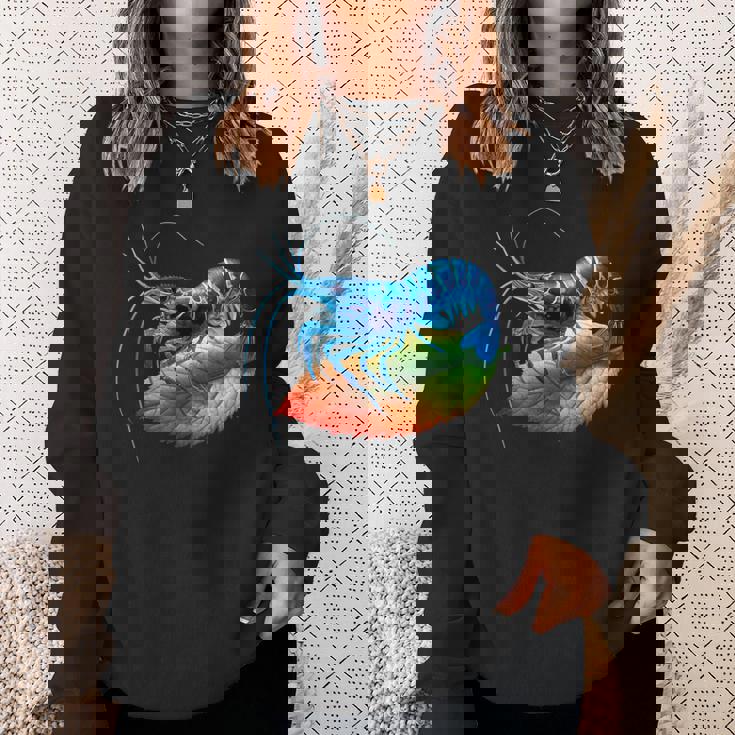 ブルーチェリー シュリンプ ブリーダー ネオカラディナ 淡水水槽 スウェットシャツ 彼女への贈り物