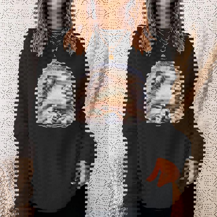 ポメラニアン × ポメラニアン 犬 寝ている スウェットシャツ 彼女への贈り物