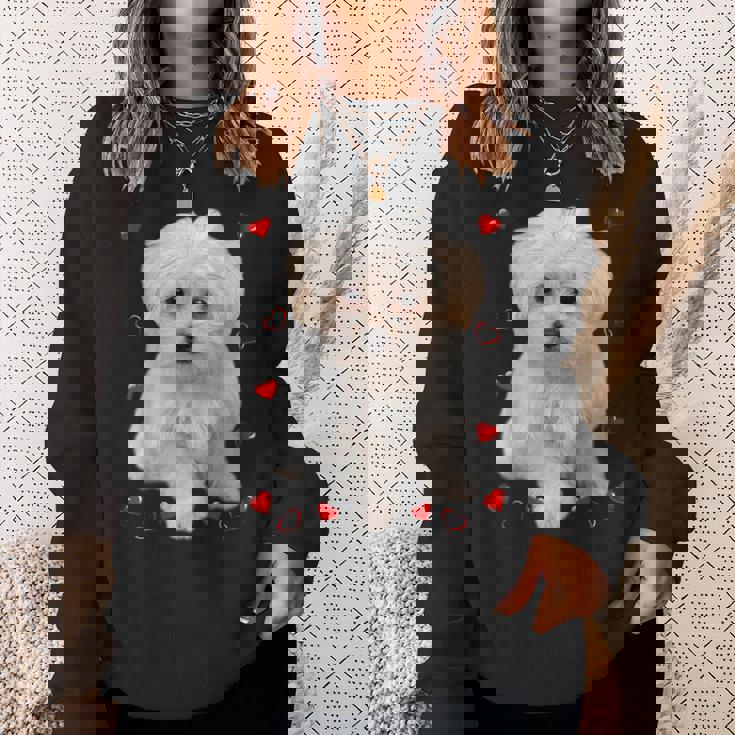 マルチーズ 犬 オーナー ラバー デザイン 子犬 ハート デザイン スウェットシャツ 彼女への贈り物