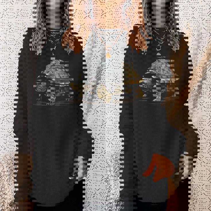 亀 抽象 家 動物 図面 アート グラフィック 亀 スウェットシャツ 彼女への贈り物