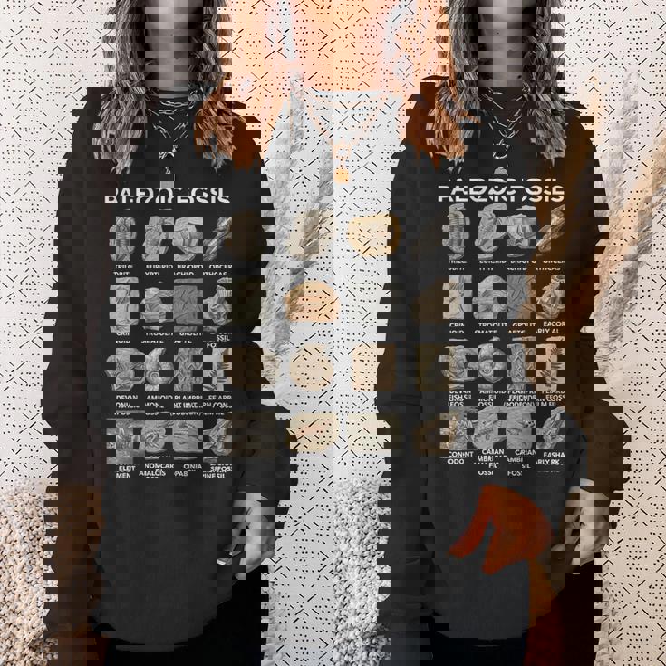 古生代化石チャート古生物学科学愛好家 スウェットシャツ 彼女への贈り物