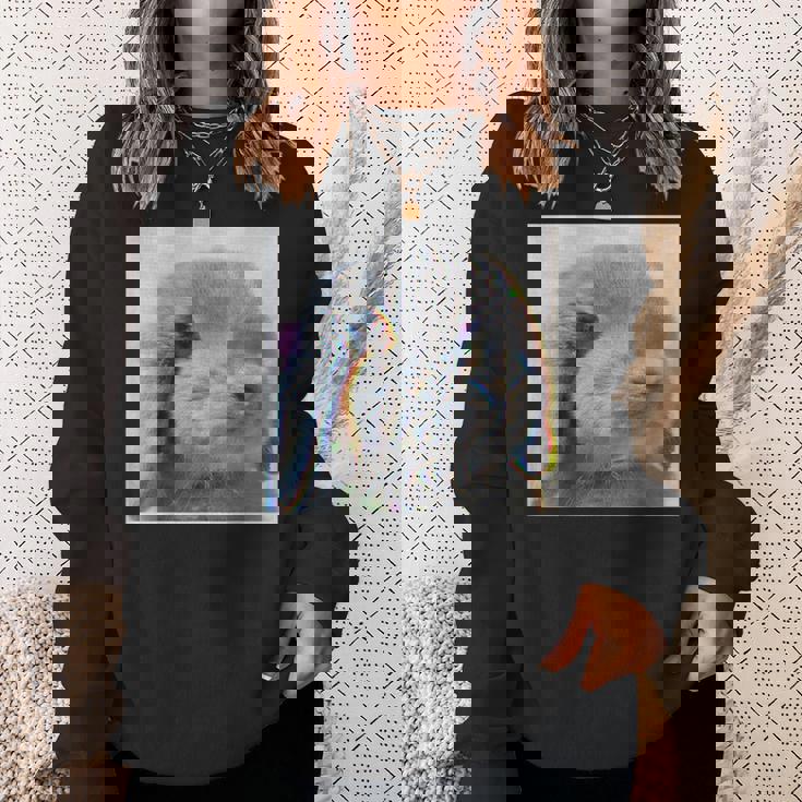 垂れ耳うさぎのレトロ写真 スウェットシャツ 彼女への贈り物