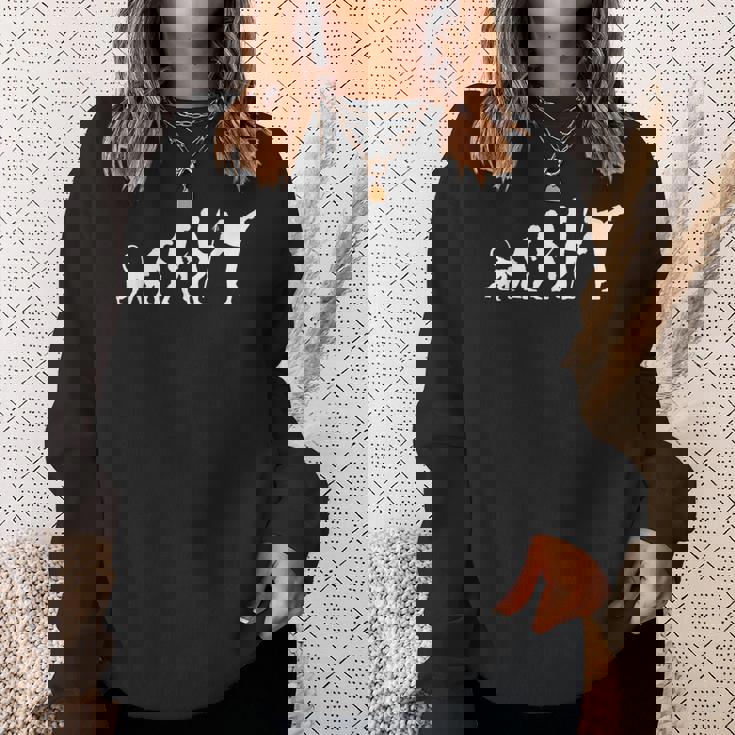 空手の進化 スウェットシャツ 彼女への贈り物