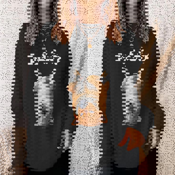 面白いtシャツ 柴犬 犬 イヌ コッペパン メンズ 犬好き グッズ かわいい おもしろ 面白い 服 ネタ 長袖tシャツ スウェットシャツ 彼女への贈り物