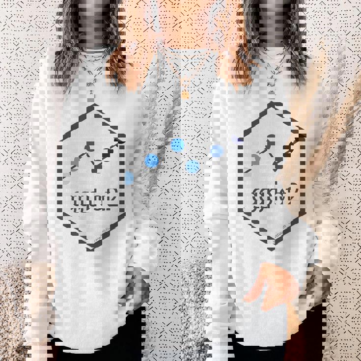 R Programming Ggplot2 六角tシャツ Rstudio Tidyverse Rstats スウェットシャツ 彼女への贈り物