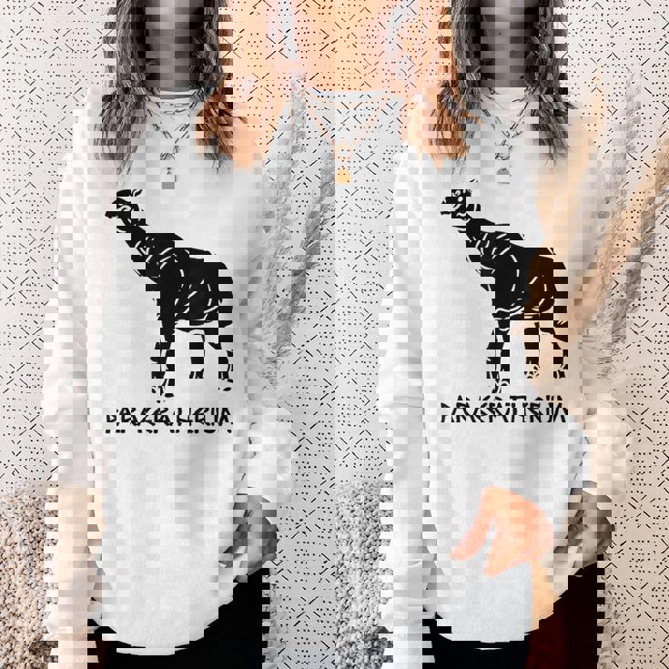 パラケラテリウム 絶滅動物 サイ 古生物学 スウェットシャツ 彼女への贈り物