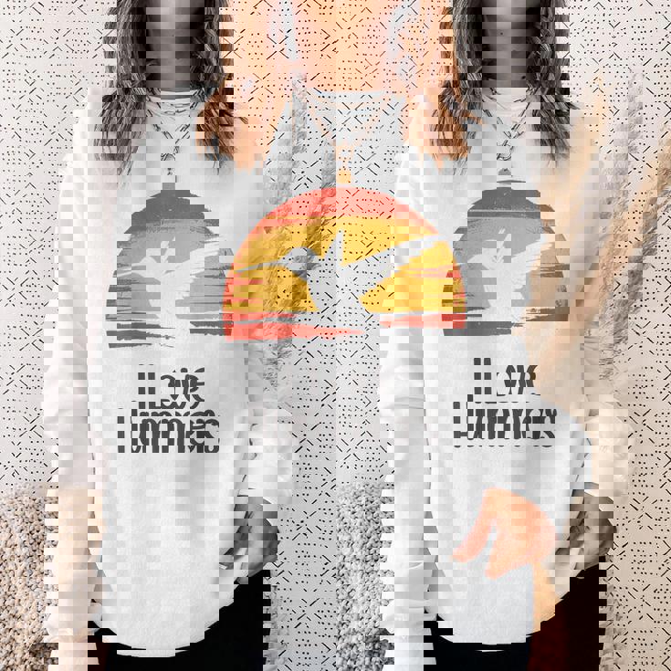 レトロ ヴィンテージ サンセット 2024 I Love Hummers コリブリ ハチドリ スウェットシャツ 彼女への贈り物