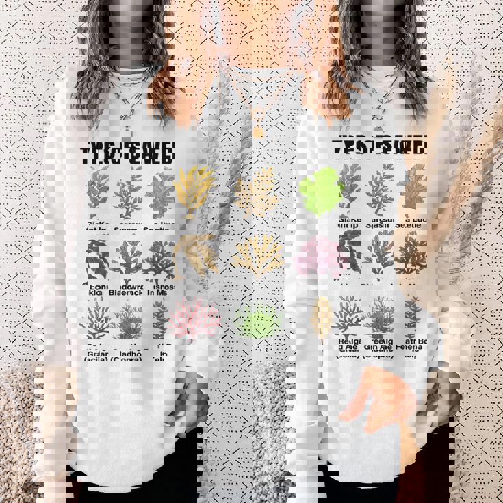 海藻の種類、海藻種チャート、海藻の種類 スウェットシャツ 彼女への贈り物