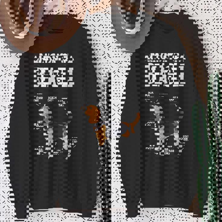 Anatomy Of A Beagle ファニービーグル スウェットシャツ 年配の女性への贈り物