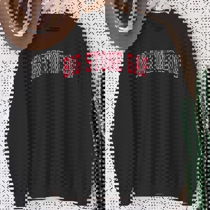 Bigtone Gap バージニアa ヴィンテージ スポーツデザイン レッドデザイン スウェットシャツ 年配の女性への贈り物