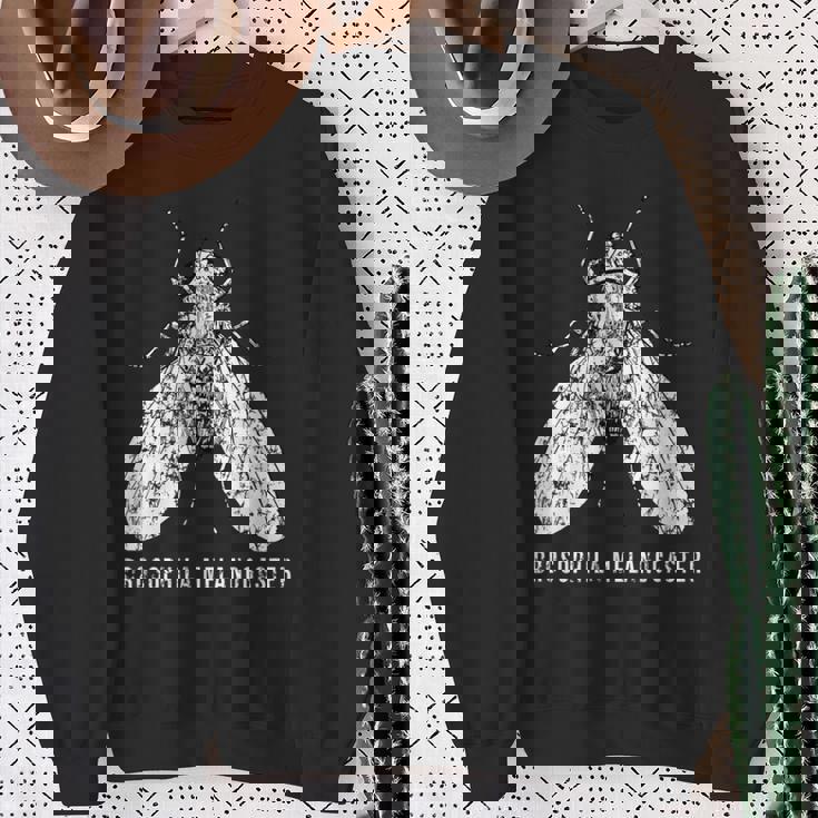 Fruit Fly Drosophila Melanogaster Forcientists スウェットシャツ 年配の女性への贈り物