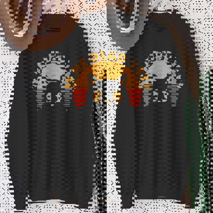 Is-He-Vintage-Dead-Yet 猫 スウェットシャツ 年配の女性への贈り物