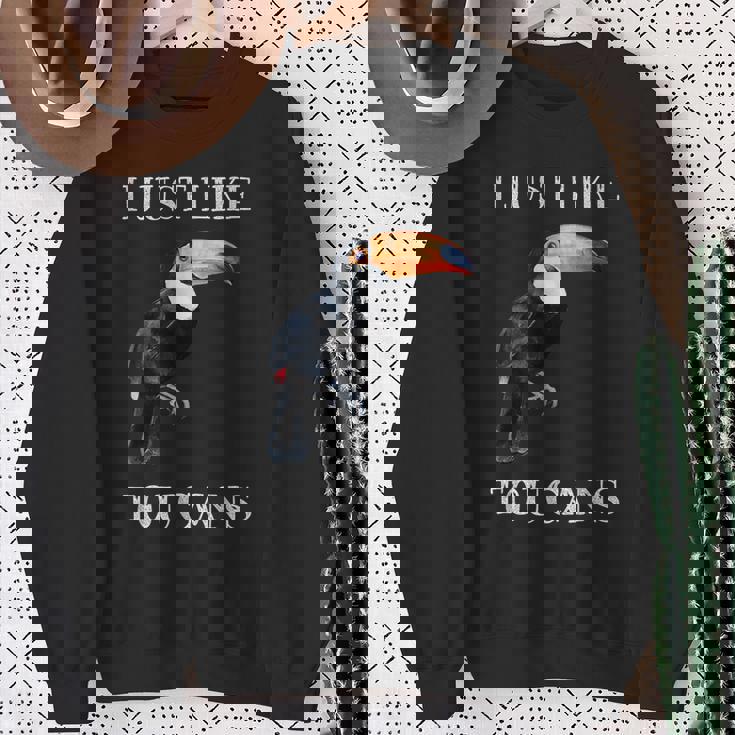 I Just Like Toucans Bird Animal Park オオハシ スウェットシャツ 年配の女性への贈り物