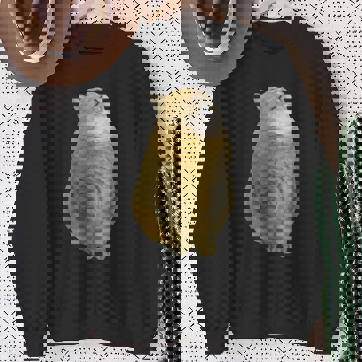 Meme Yellow Cat leep Internetiral スウェットシャツ 年配の女性への贈り物