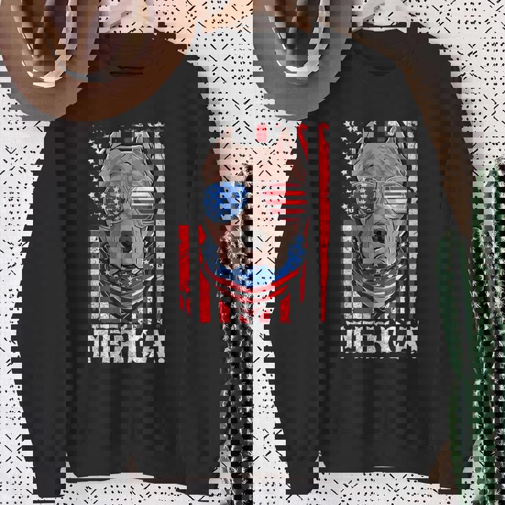 Pit-Bull Usa 愛国的な犬服 アメリカ国旗 メンズ スウェットシャツ 年配の女性への贈り物