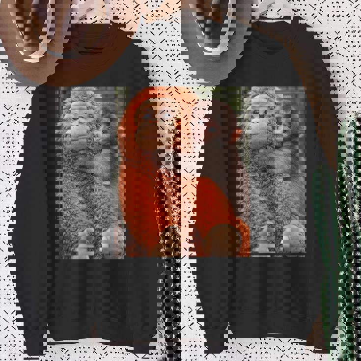 Punch The Monkey Meme X Ape Cute Punch Monkey Baby Meme スウェットシャツ 年配の女性への贈り物