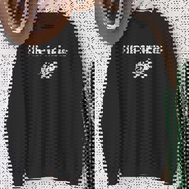 Vintage I Like Turtles Turtle Pet For Turtle Lovers Sweatshirt Gifts for Old Women