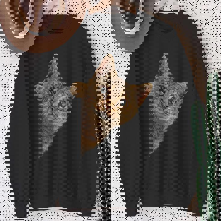 【覗くネコ】猫 にゃんこ 猫好き 猫 可愛い ネコ 子猫 ネコ好き 面白い 変な 遊び心 ネタ ウケ狙い おもしろ スウェットシャツ 年配の女性への贈り物