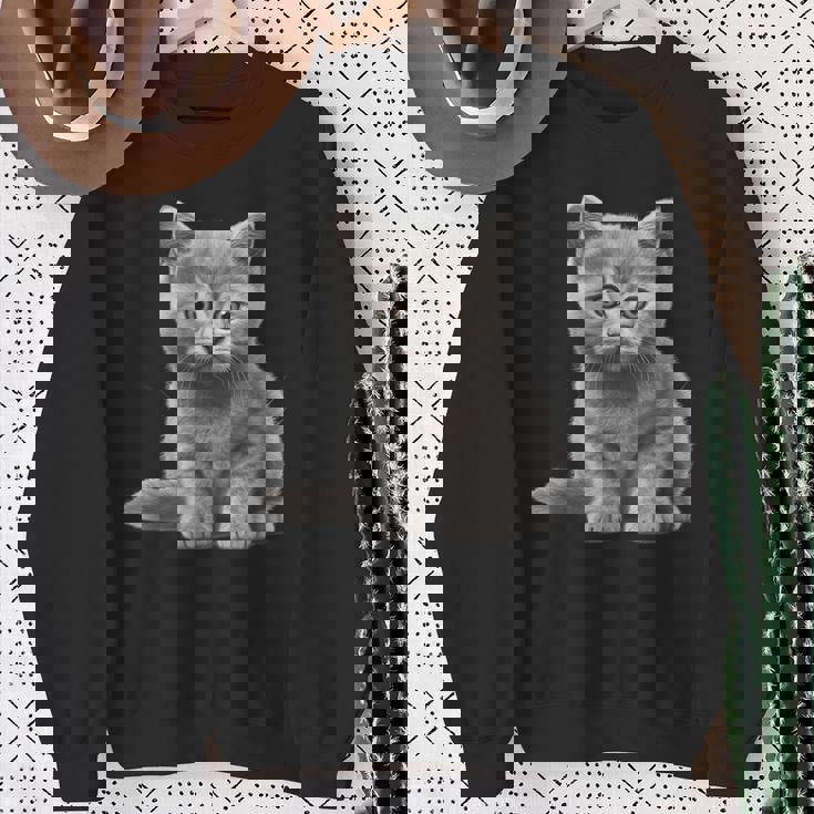 かわいいブリティッシュショートヘア 猫好きの子猫 スウェットシャツ 年配の女性への贈り物