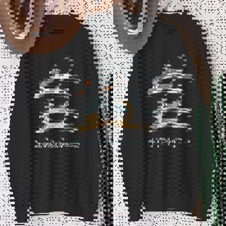 みょみょみょみょーん 猫 ネコ 茶トラ ハチワレ 三毛 シャム シュール おもしろ 可愛い メンズ レディース キッズ スウェットシャツ 年配の女性への贈り物