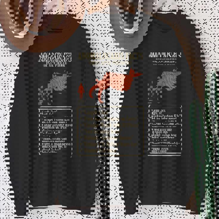 アノマロカリス 事実 最初の頂点捕食者 カンブリア紀 古生物 化石 科学 学習 進化 歴史 海洋 比較 スウェットシャツ 年配の女性への贈り物