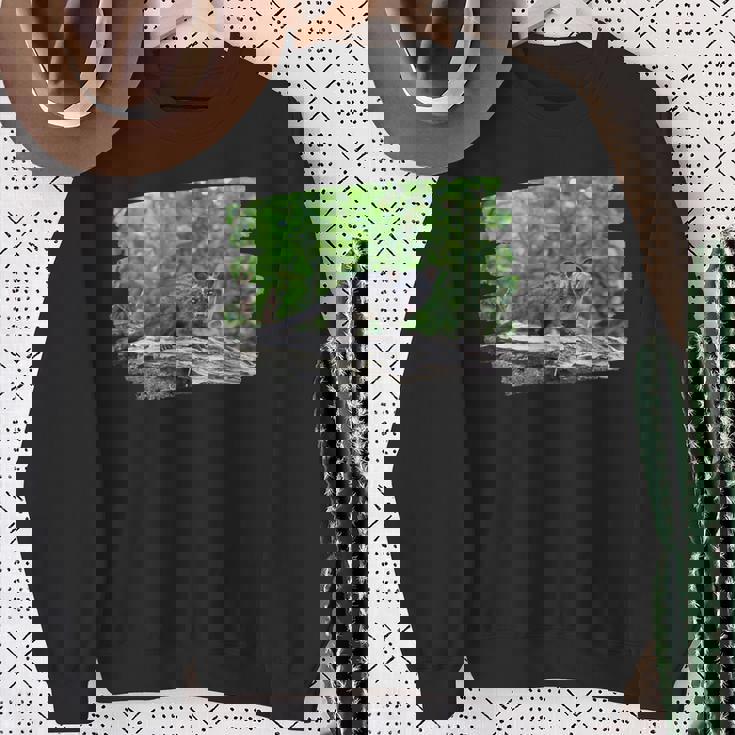 アフリカンパームシベット スウェットシャツ 年配の女性への贈り物