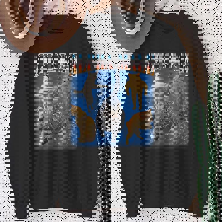 アルファ 男性 面白い ジョーク ミーム 大人 ユーモア 猫 ミーム スウェットシャツ 年配の女性への贈り物