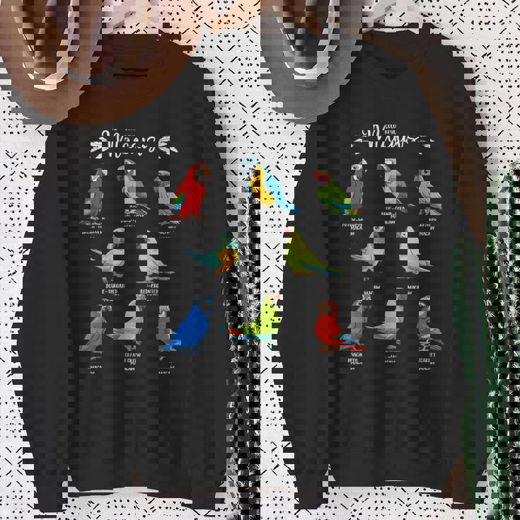 カラフルな8種のインコ コンゴウインコ スウェットシャツ 年配の女性への贈り物