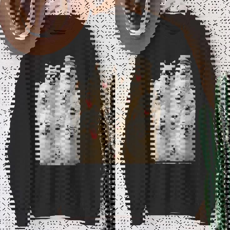 クレイジー日本スピッツ 長袖tシャツ スウェットシャツ 年配の女性への贈り物