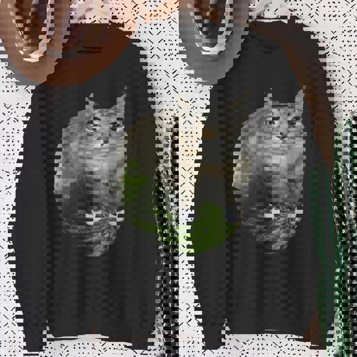 スイカ猫ミーム スウェットシャツ 年配の女性への贈り物