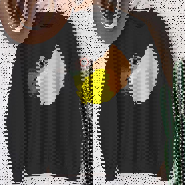 ズグロシロハラインコ 長袖tシャツ スウェットシャツ 年配の女性への贈り物