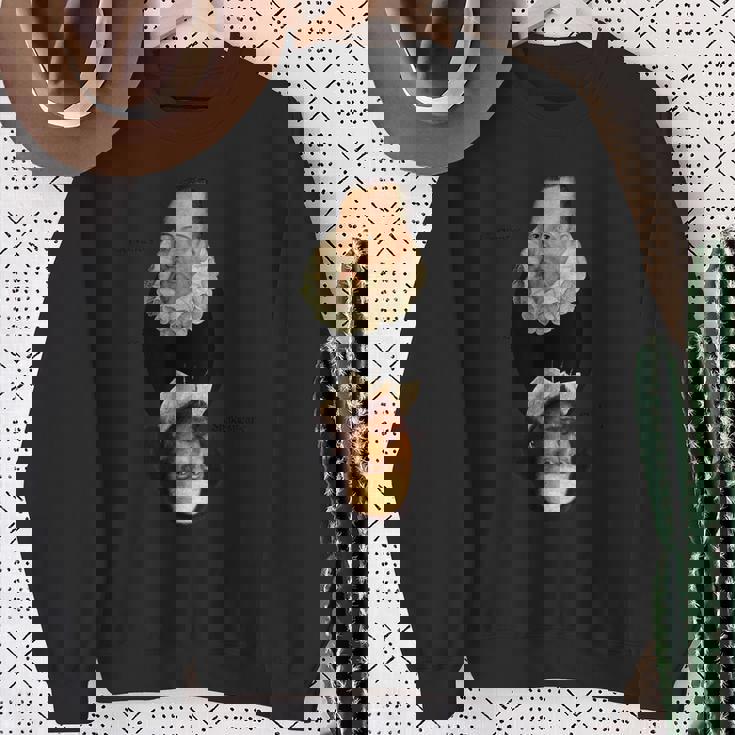 セルバンテス対シェイクスピア スウェットシャツ 年配の女性への贈り物