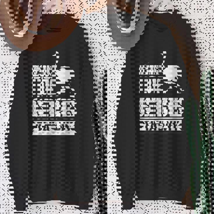 ダチョウが大好きだからだからダチョウ スウェットシャツ 年配の女性への贈り物