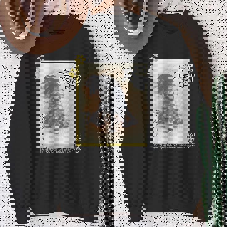 ダックス ミニチュアダックス シルバーダップル らく 充電中 明日がんばる 犬 スウェットシャツ 年配の女性への贈り物