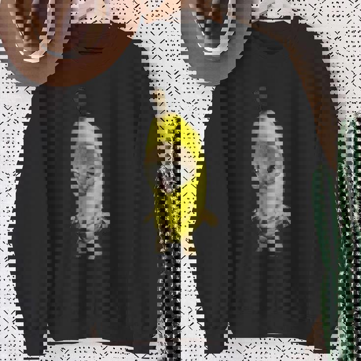 バナナキャット ファニーミーム スウェットシャツ 年配の女性への贈り物