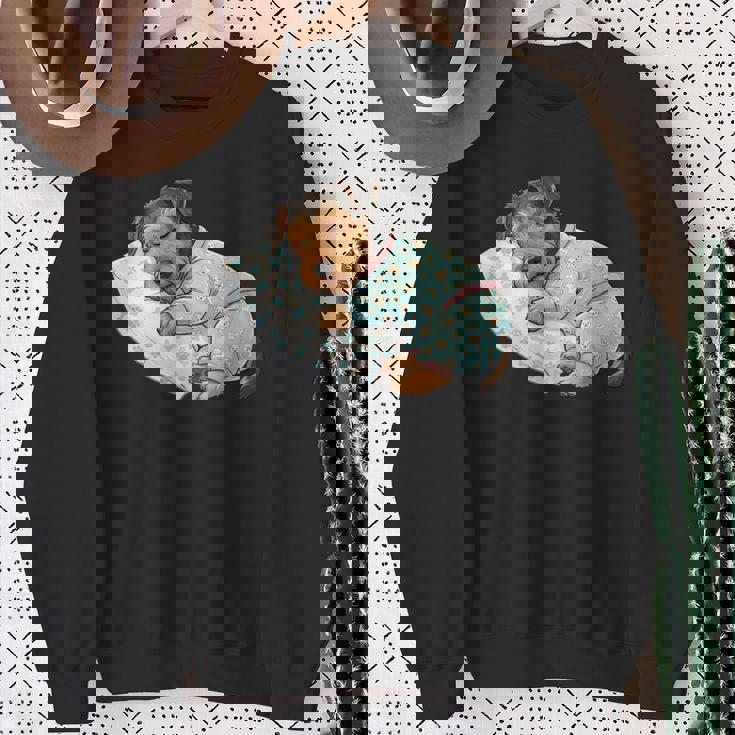 パジャマで寝ているかわいいボストンテリア犬就寝アート 長袖tシャツ スウェットシャツ 年配の女性への贈り物