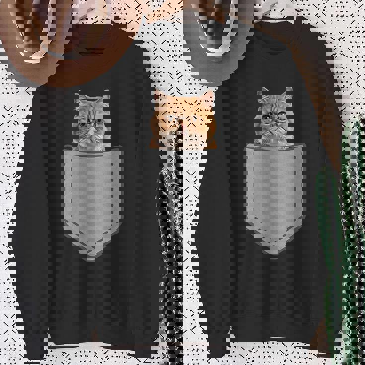 ファニーエキゾチックショートヘア猫 スウェットシャツ 年配の女性への贈り物