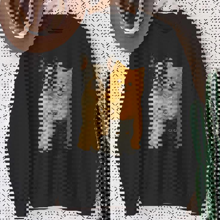 フレンチブルドッグ ポメラニアン エキゾチック ショートヘア マンチキン 猫 スウェットシャツ 年配の女性への贈り物