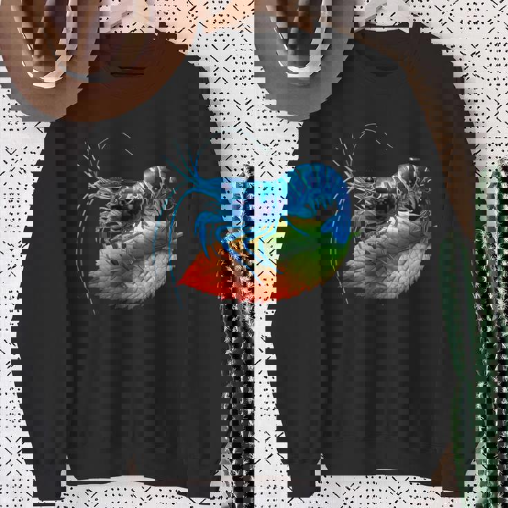 ブルーチェリー シュリンプ ブリーダー ネオカラディナ 淡水水槽 スウェットシャツ 年配の女性への贈り物