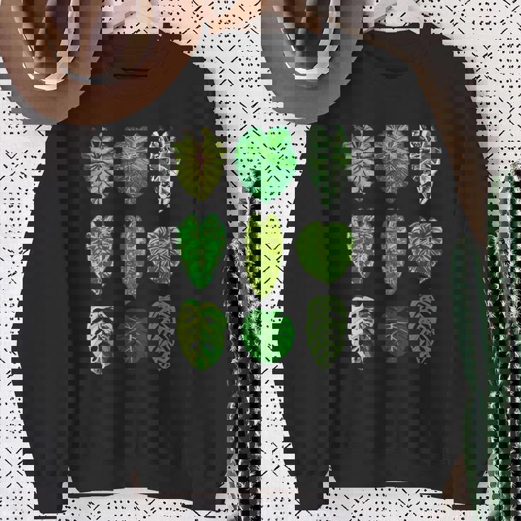 ボタニストガーデン サトイモモンステラ 植物コレクション 葉 長袖tシャツ スウェットシャツ 年配の女性への贈り物
