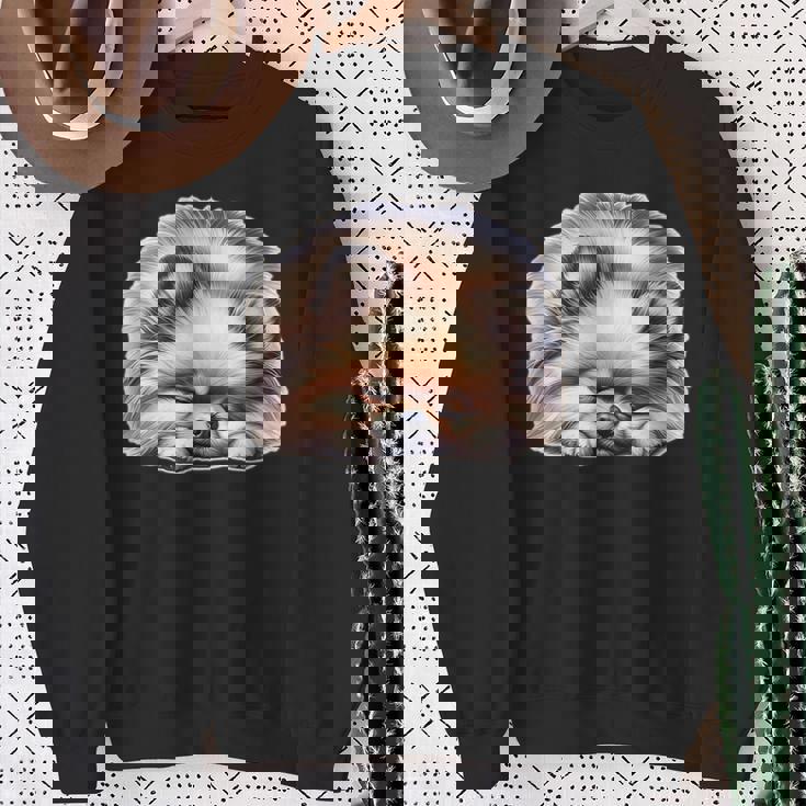 ポメラニアン × ポメラニアン 犬 寝ている スウェットシャツ 年配の女性への贈り物