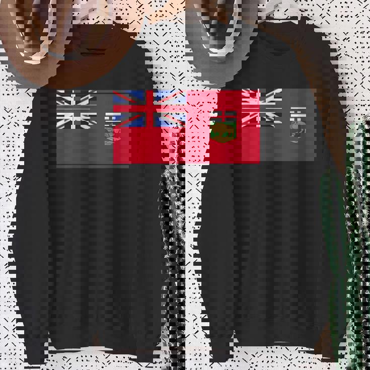 マニトバ州 紋章 カナダ国旗 ウィニペグ スウェットシャツ 年配の女性への贈り物