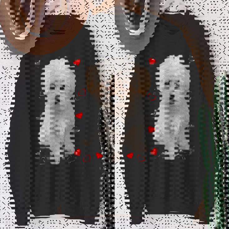 マルチーズ 犬 オーナー ラバー デザイン 子犬 ハート デザイン スウェットシャツ 年配の女性への贈り物