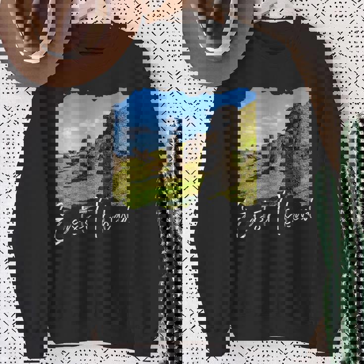 モアイ像 イースター島 ラパヌイ スウェットシャツ 年配の女性への贈り物