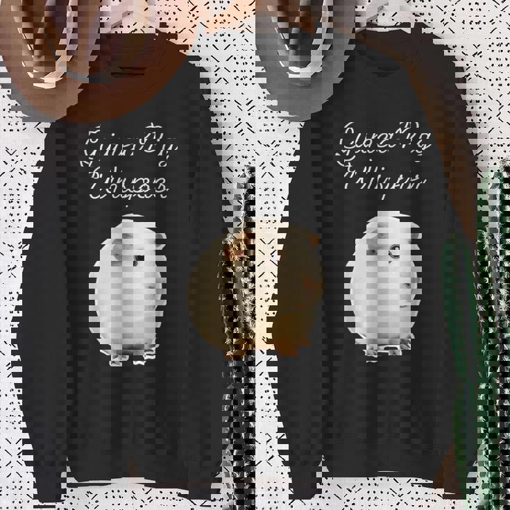 モルモット ウィスパラー アメリカモルモット スウェットシャツ 年配の女性への贈り物