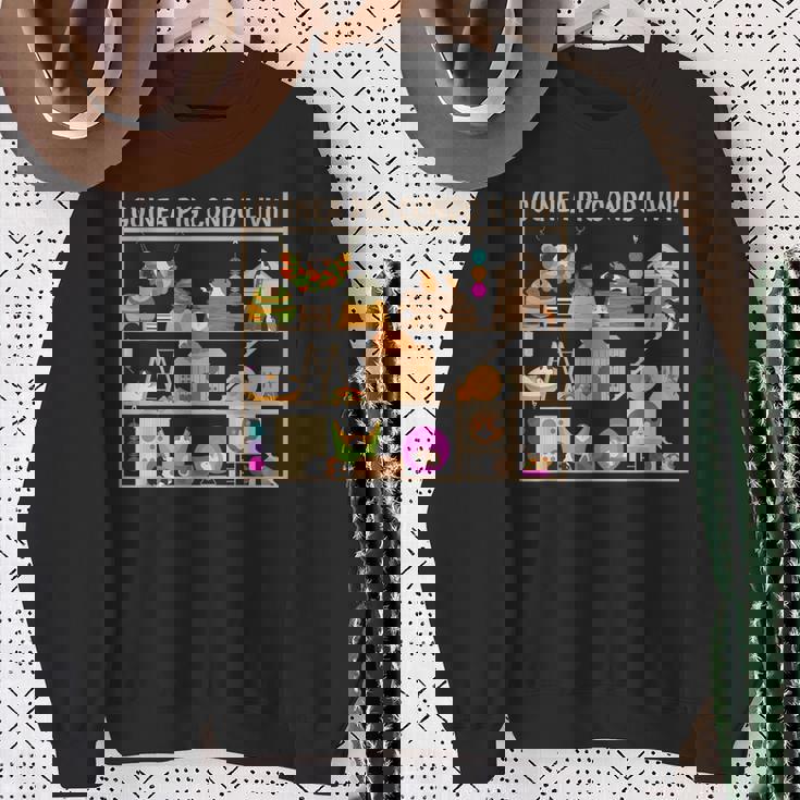 モルモットのコンドの生活のおもちゃヘイベッドの隠れ家の家 スウェットシャツ 年配の女性への贈り物