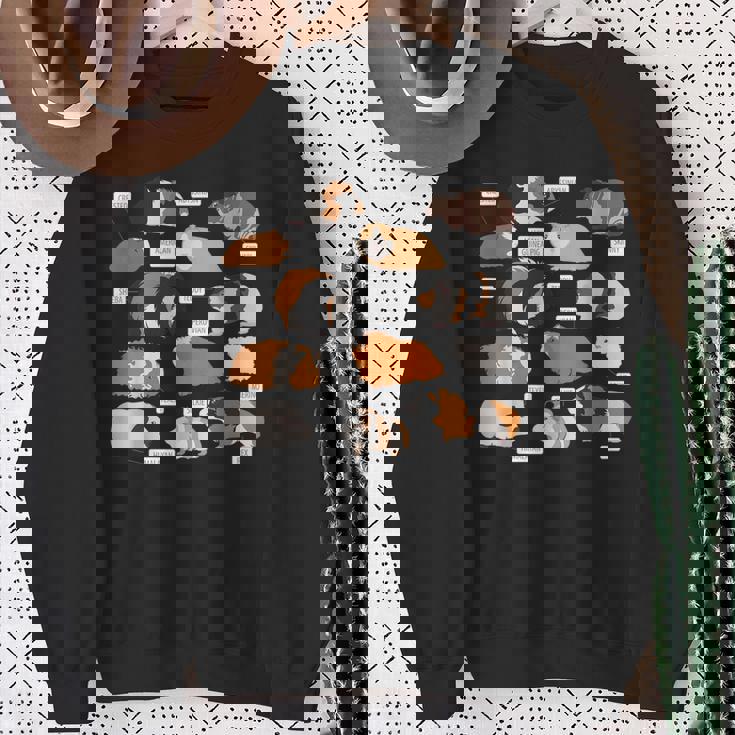 モルモット犬種シャツ スウェットシャツ 年配の女性への贈り物