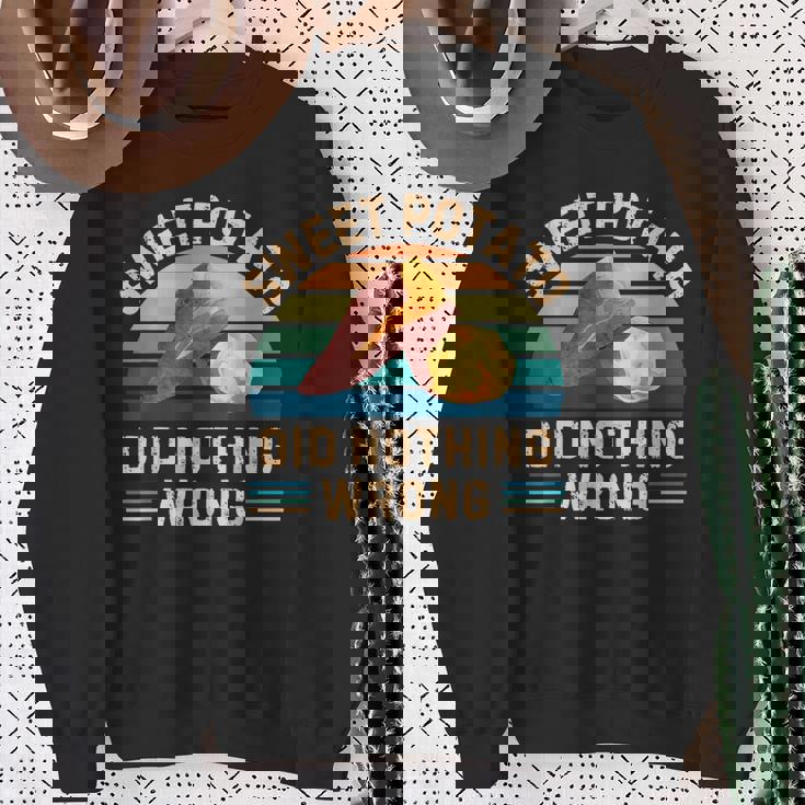 レトロ サツマイモ Did Nothing Wrong ヴィンテージ サツマイモ スウェットシャツ 年配の女性への贈り物