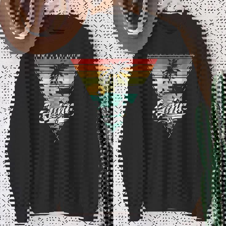 ヴィンテージ ハファ アダイアドベンチャー 671 グアム スウェットシャツ 年配の女性への贈り物