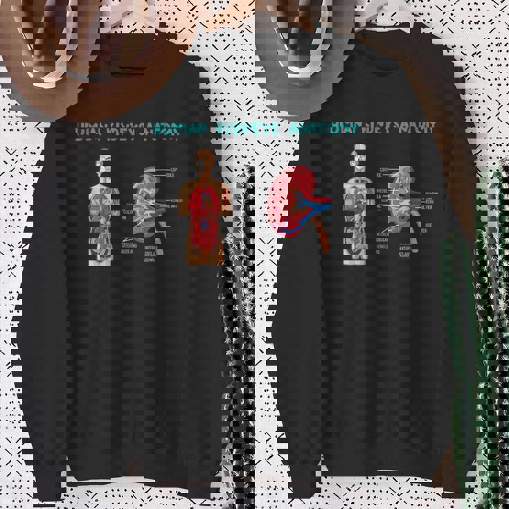 医療従事者のためのヒト腎臓の解剖学 スウェットシャツ 年配の女性への贈り物